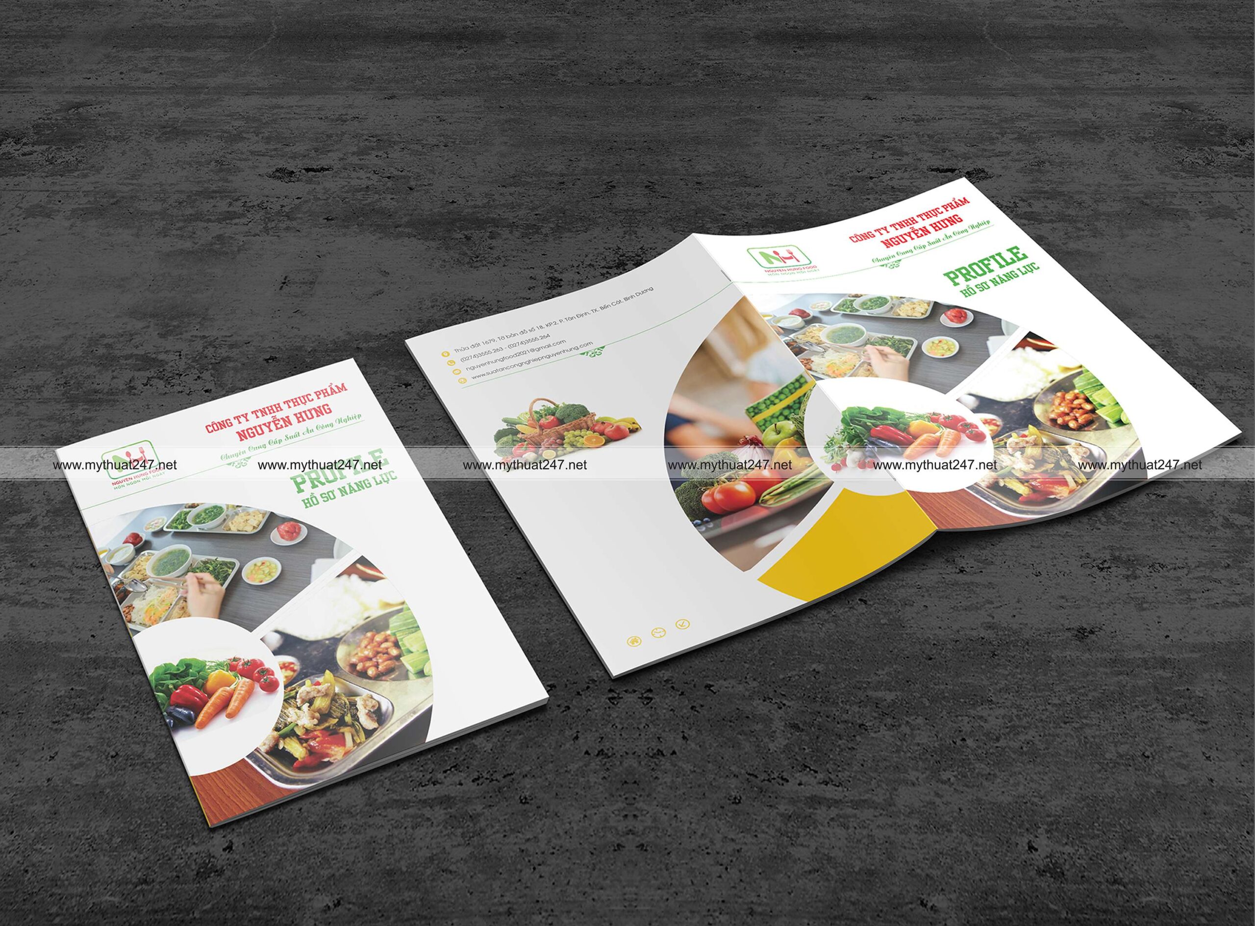 Thiết kế hồ sơ năng lực Công ty TNHH thực phẩm Nguyễn Hưng